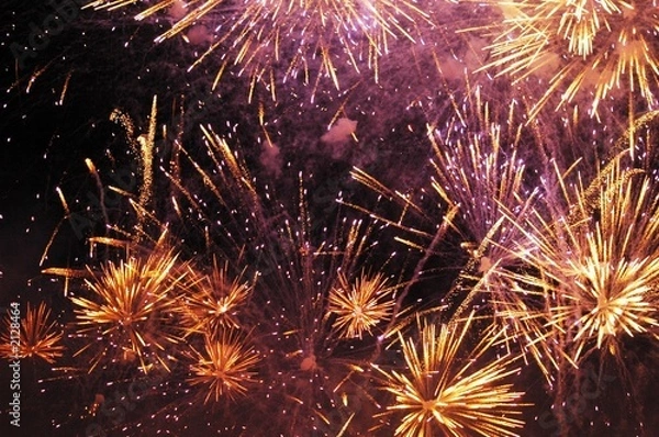 Fototapeta anémones