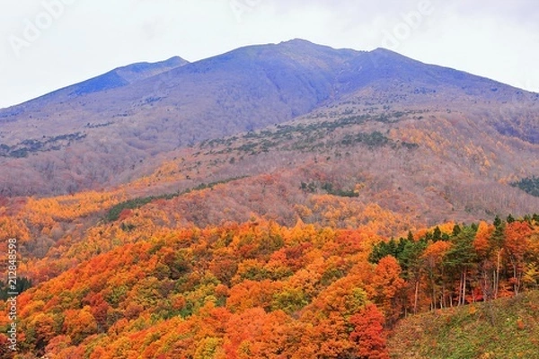 Obraz 紅葉の不忘山麓