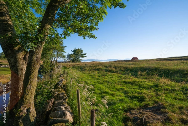 Fototapeta Norway field just after the ferry from Stavanger