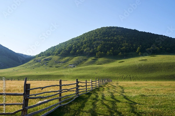 Obraz large meadows. pasture