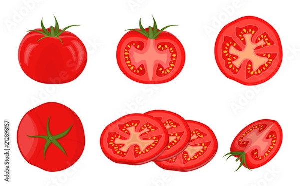 Obraz Vector illustration.Collection tomatoes on white background.