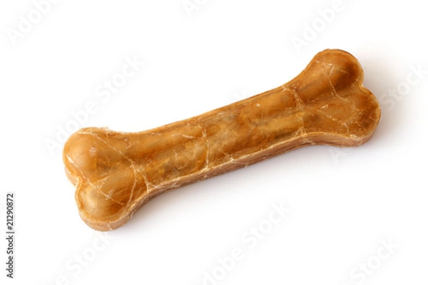 Obraz Dog bone isolated on white background