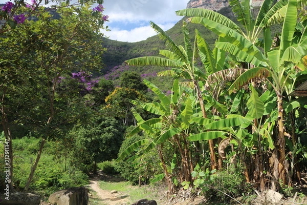 Fototapeta Chapada_diamantina