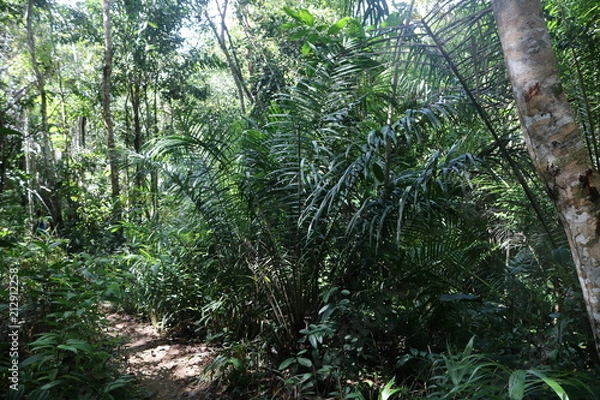 Fototapeta Itacaré11