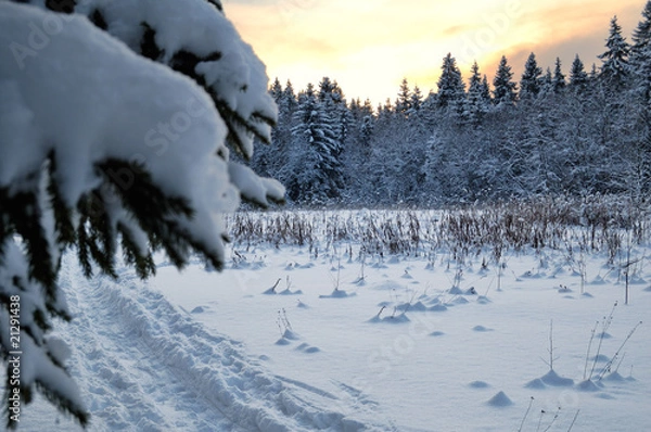 Obraz Winter landscape