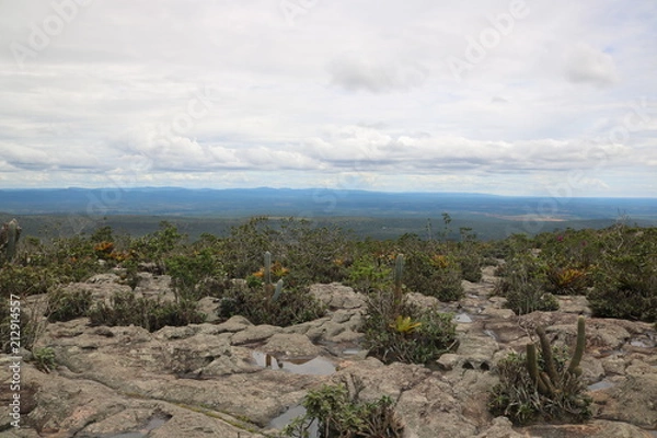 Fototapeta Chapada6