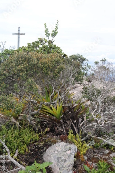 Fototapeta Vale do Pati 3