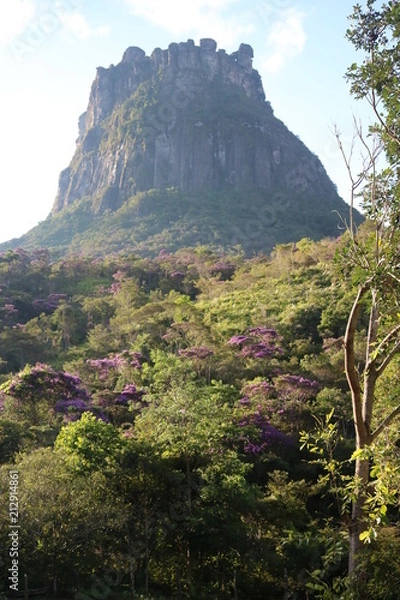 Fototapeta Vale do Pati2