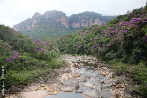 Fototapeta Vale do Pati