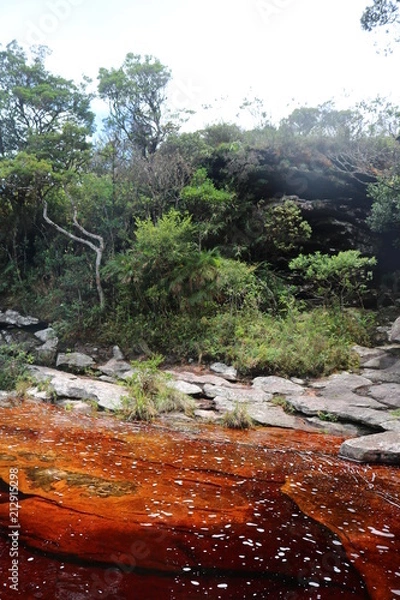 Fototapeta Vale do pati 9