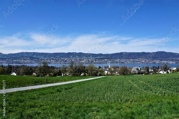 Fototapeta Wiese und Wanderweg in Zollikon im Kanton Zürich in der Schweiz im April 