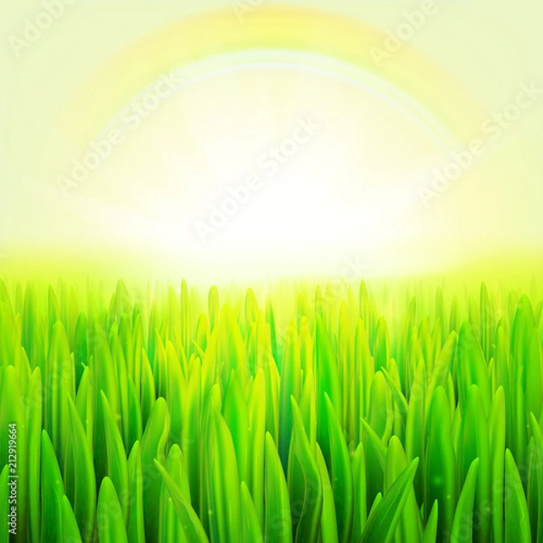 Fototapeta Stock vector illustration realistic macro grass. Summer and spring background. eps10