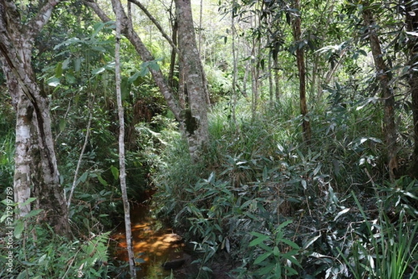 Fototapeta Vale do Pati 10