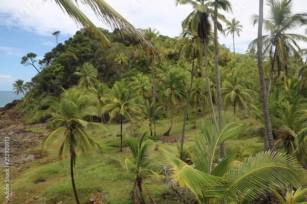 Fototapeta Itacaré Y