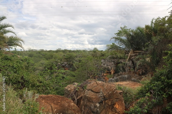 Fototapeta brazil view