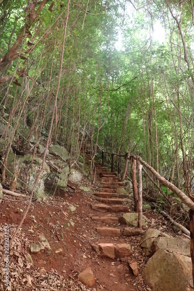 Fototapeta brazil steps