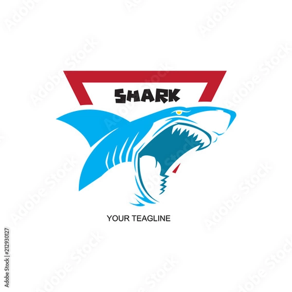 Obraz shark logo