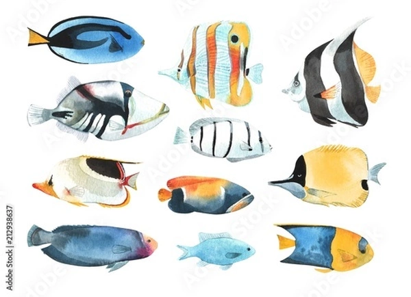 Fototapeta A set of tropical fish, in a watercolor style.