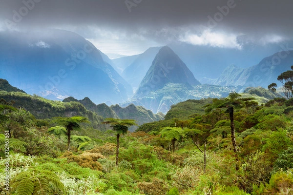 Obraz National Park Reunion Island in Indian Ocean