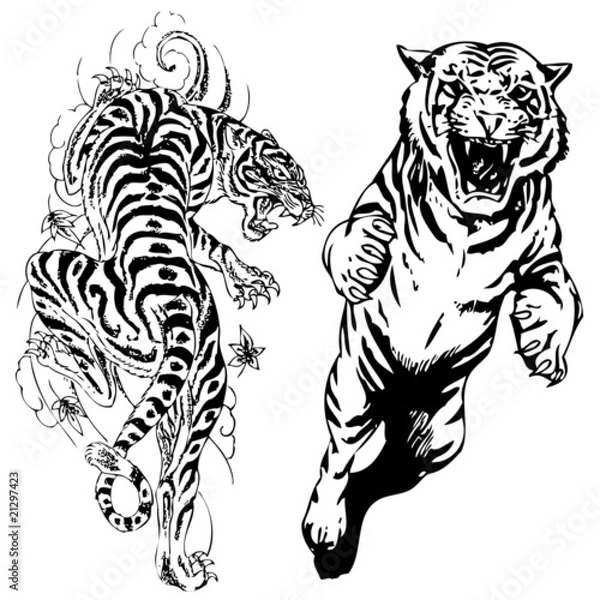 Fototapeta vector illustration tiger tattoo