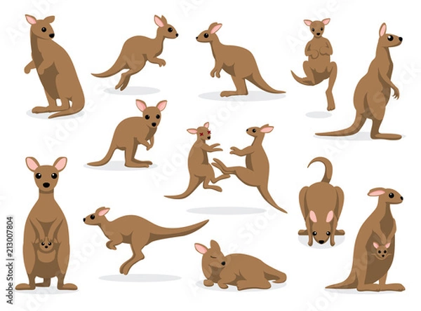 Obraz 12 Kangur stwarza ilustracji wektorowych