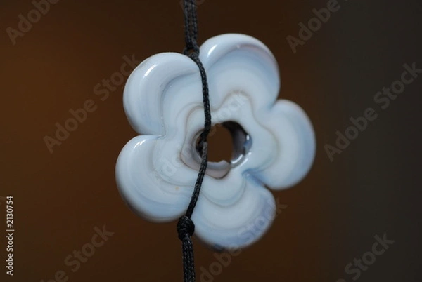 Fototapeta fleur de pierre