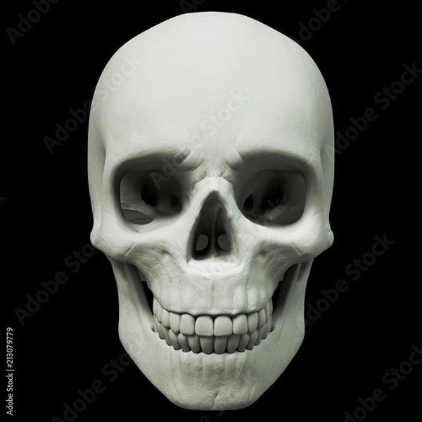 Fototapeta Human skull over black. 3d rendering