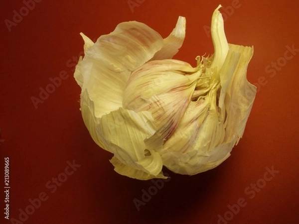 Obraz garlic light 1