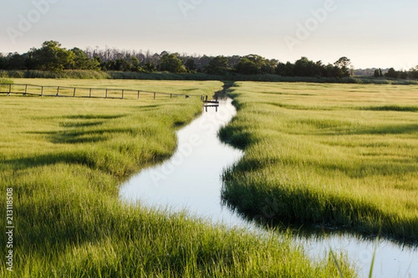 Obraz creek through marsh field