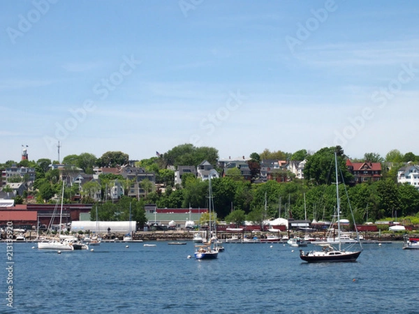 Fototapeta Portland Maine Coastline with boats in the water, homes on the shore, trees and Portland Observation tower