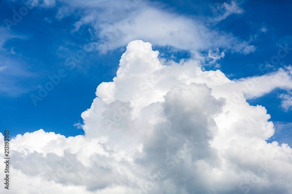 Fototapeta 夏の青空