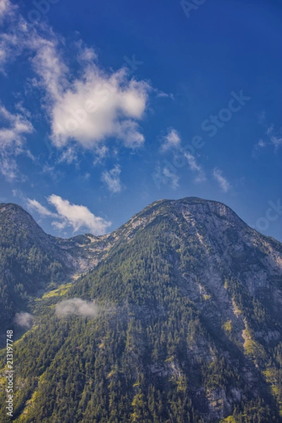 Fototapeta  high mountains in summer time covered with forest ,Austria alps 
