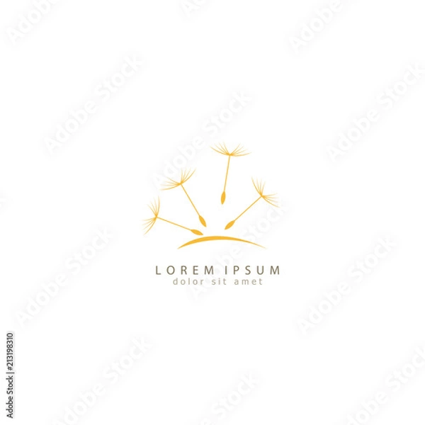Fototapeta dandelion icon. dandelion logo vector illustration eps 10.