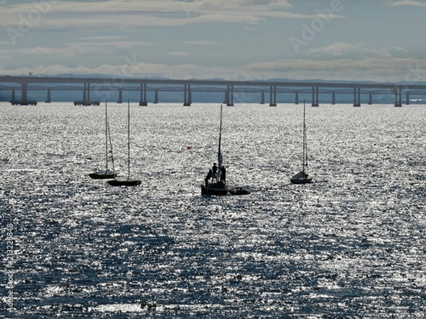 Fototapeta OLYMPUS DIGITAL CAMERA