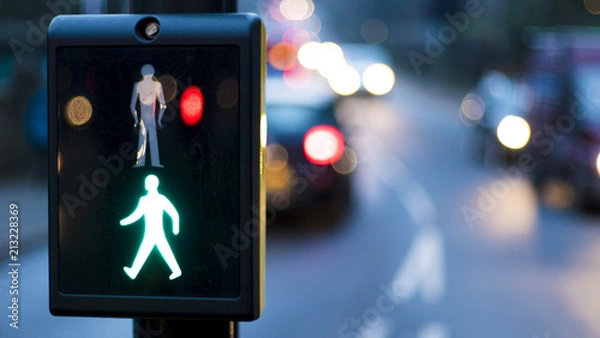 Fototapeta Traffic Light Man