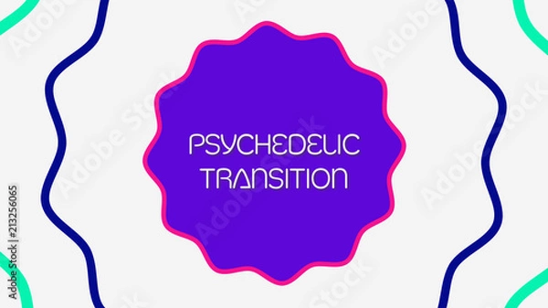 Obraz Concentric Outlines Transition