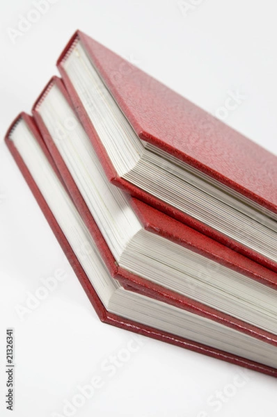 Obraz Red books 2