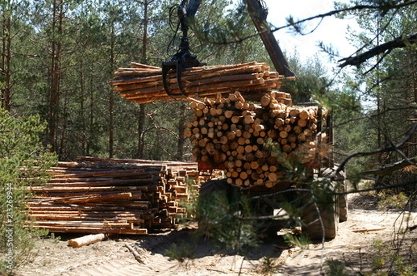 Fototapeta Погрузка леса