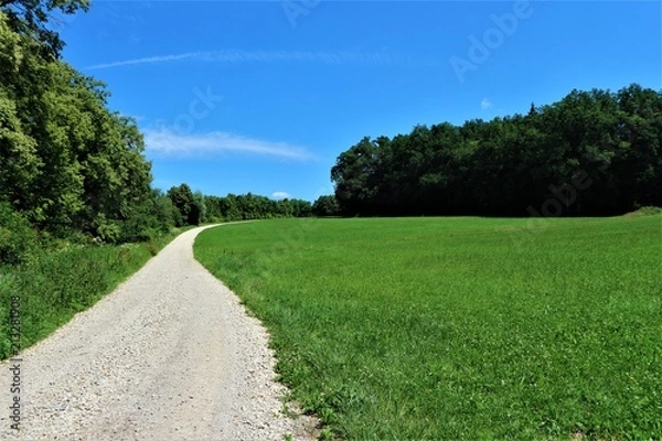 Obraz Kiesweg mit Wald und blauem Himmel