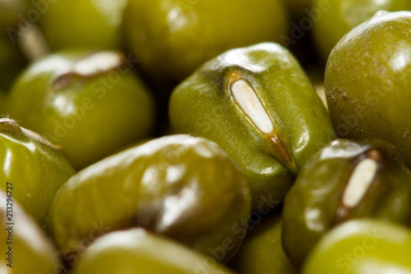 Obraz mung bean macro