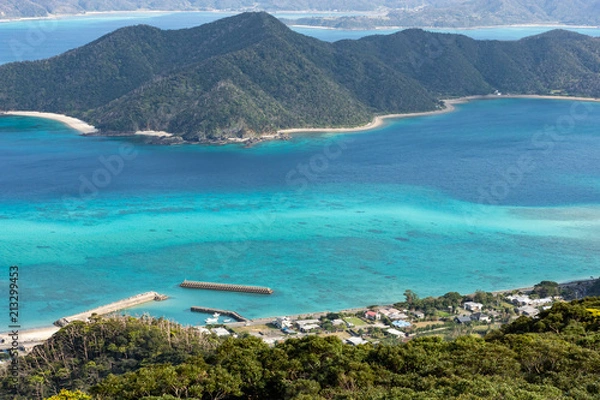 Obraz 奄美大島の集落