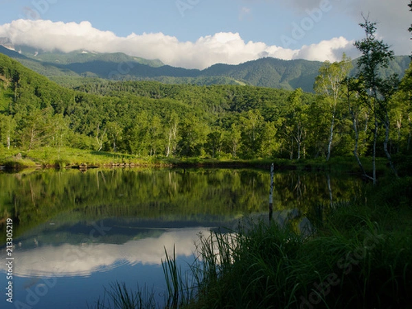 Fototapeta 乗鞍の風景