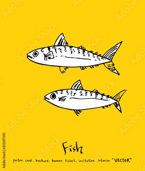 Fototapeta 해산물 일러스트 / 손으로 그린 수산물 그림