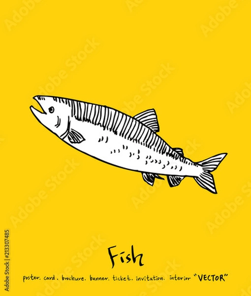 Obraz 해산물 일러스트 / 손으로 그린 수산물 그림