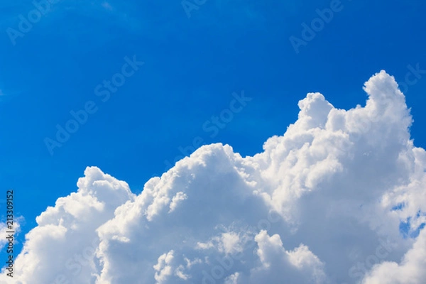 Fototapeta 夏の青空