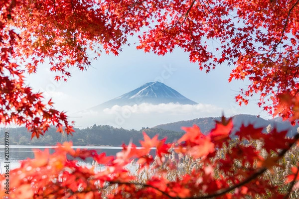 Obraz Fudżi, jezioro Kawaguchi, klon, jesień