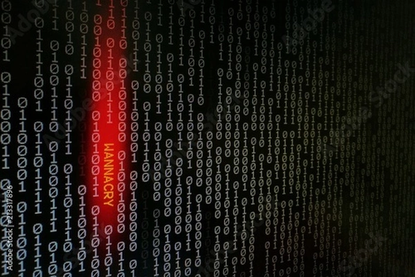 Fototapeta computer virus. binary data shown on black screen with wannacry text hilight with red colour.