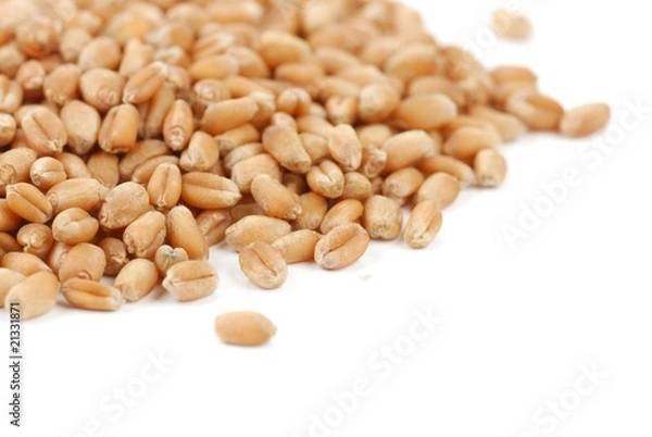 Fototapeta wheat seeds