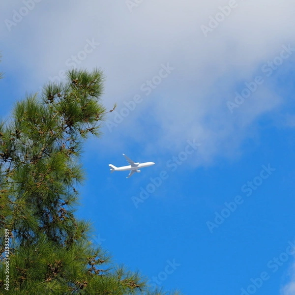 Fototapeta OLYMPUS DIGITAL CAMERA