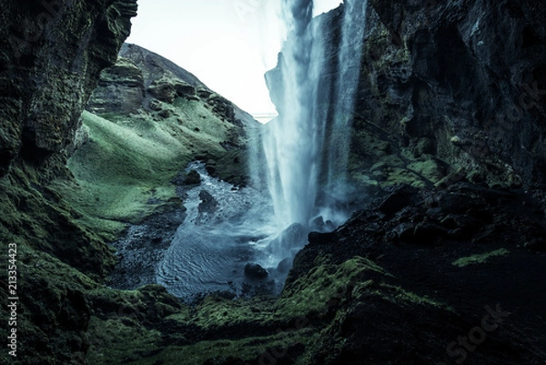Fototapeta A wild natural fresh sparkling waterfall in a lonely green valley with moos covered rocks and ice cold mountain water flowing down black rocky walls on a rainy moody day in Iceland without tourists